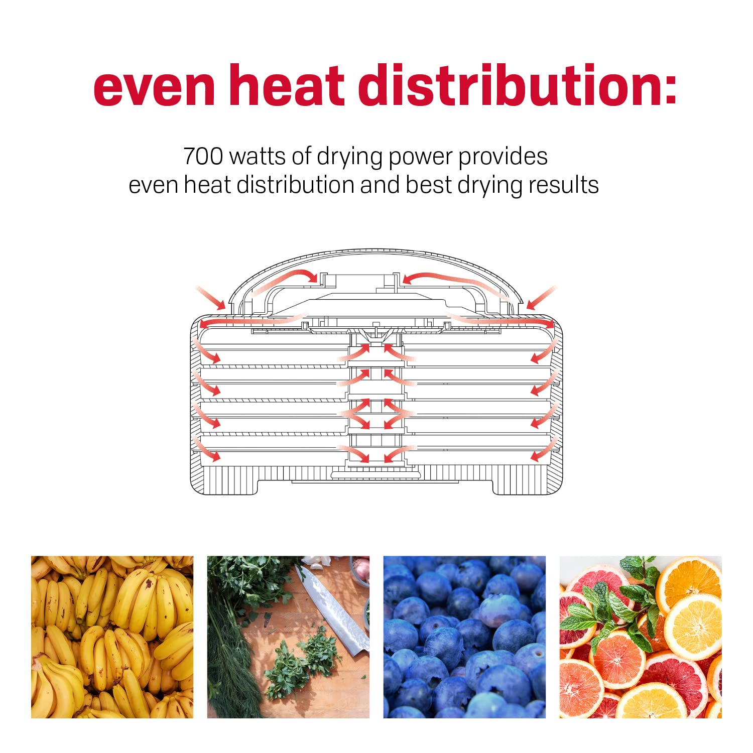 Nesco Fd 80A Square Shaped Food Dehydrator, For Snacks, Fruit, Beef Jerky, White